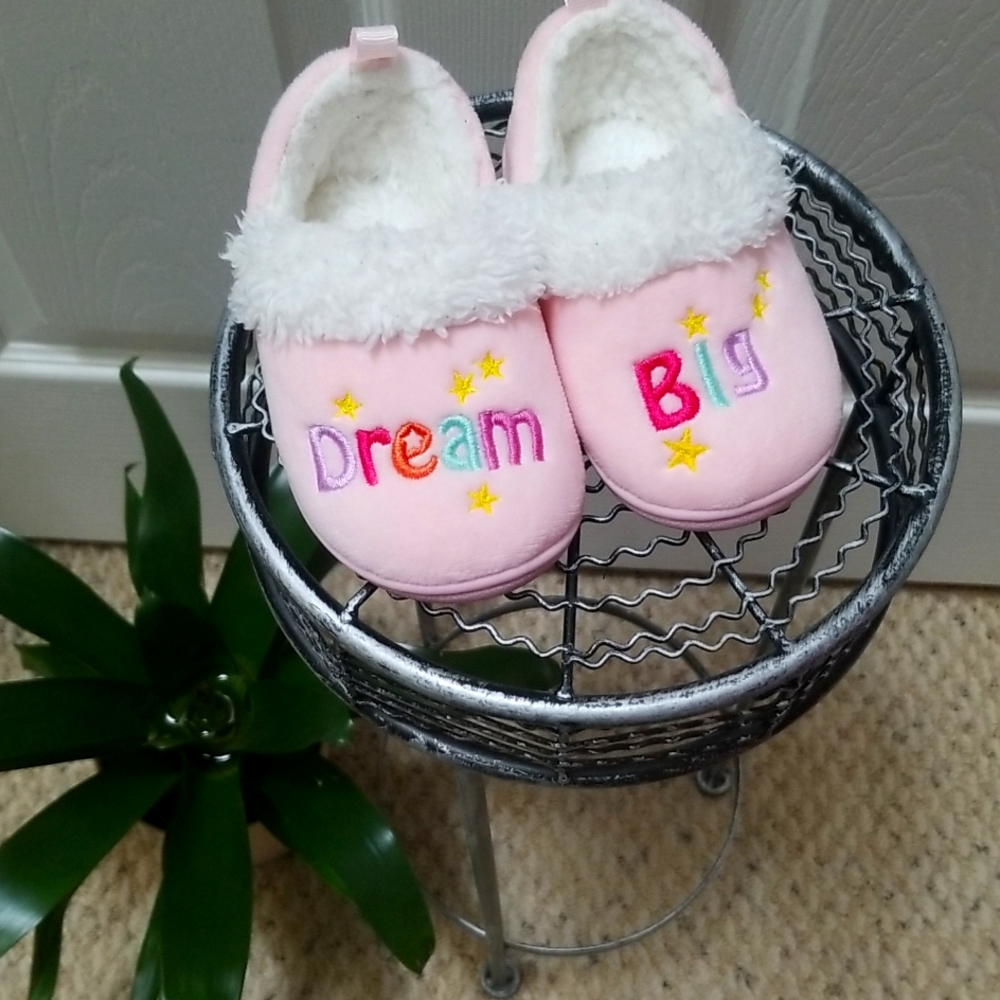 Dream Big Slippers!!